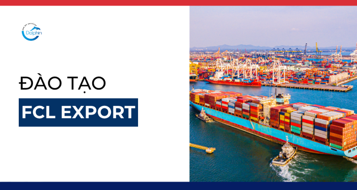 FCL Export: Cước biển - Lịch tàu và Tổng quan tuyến và Tuyến Mỹ