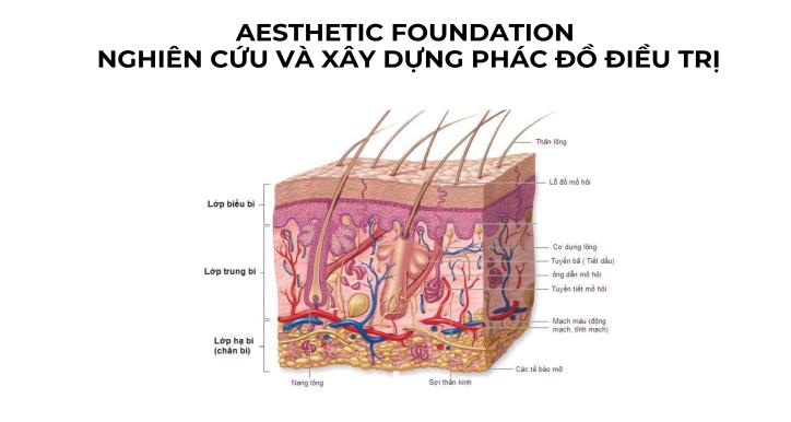 KHÓA AESTHETIC FOUNDATION - Nghiên Cứu Và Xây Dựng Phác Đồ Điều Trị