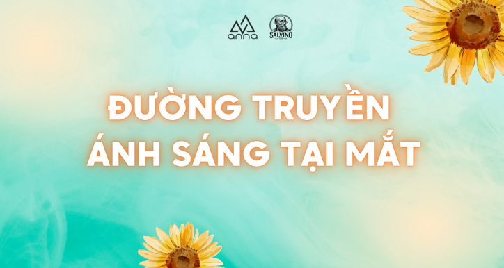 ĐƯỜNG TRUYỀN ÁNH SÁNG TẠI MẮT