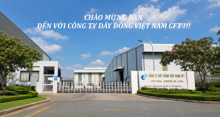 Hội nhập môi trường làm việc CFT