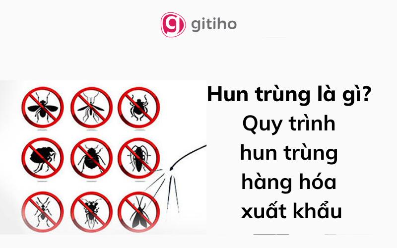 Hun trùng là gì? Hướng dẫn quy trình để hun trùng hàng hóa xuất khẩu