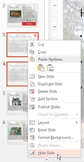 Cách làm Slide tùy chỉnh trong PowerPoint