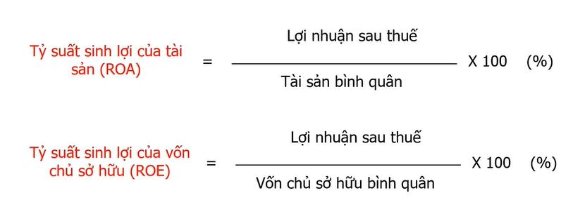 Kỹ thuật phân tích Báo cáo tài chính bằng Chỉ số - Phân tích khả năng sinh lời