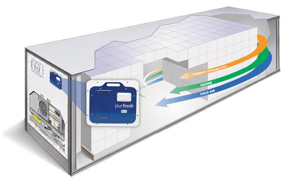 Container lạnh là gì? Nguyên tắc cất giữ container lạnh như thế nào