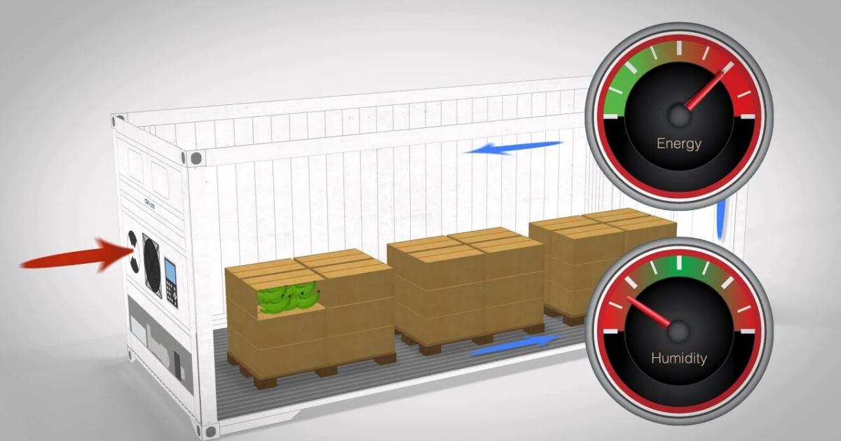Container lạnh là gì? Nguyên tắc cất giữ container lạnh như thế nào