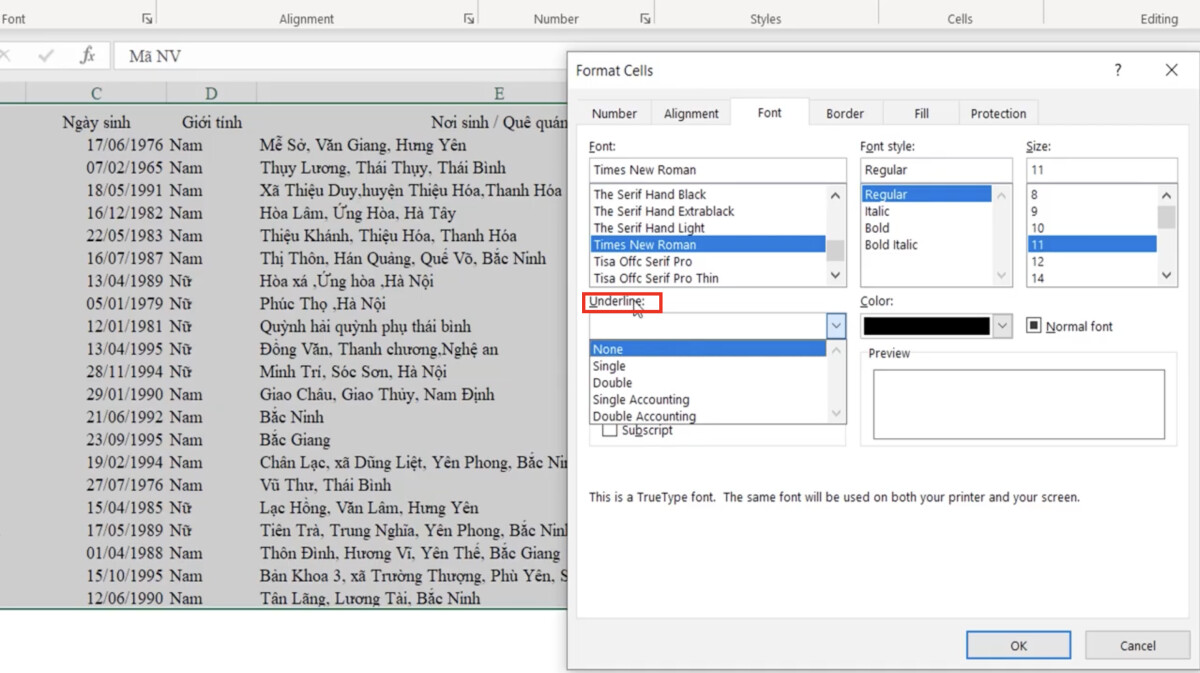 Kỹ thuật định dạng font chữ cơ bản và nâng cao trong Excel