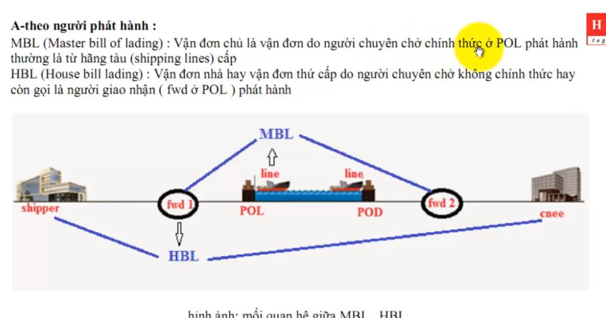 Cách phân biệt vận đơn HBL và MBL trong xuất nhập khẩu