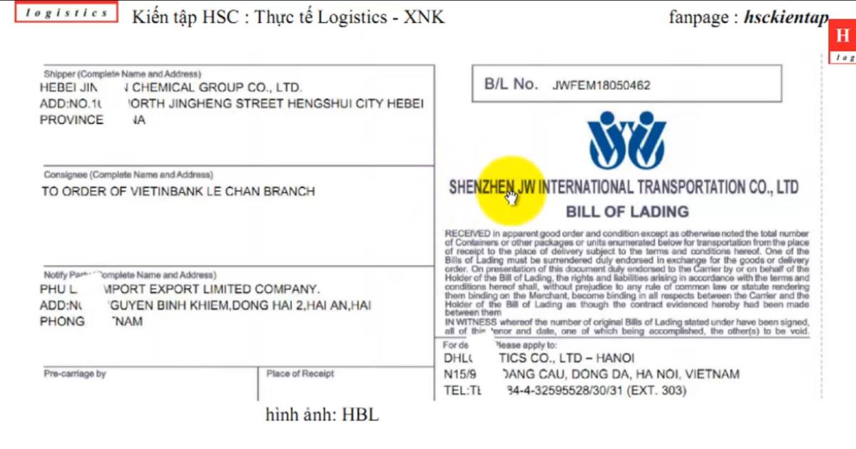 Cách phân biệt vận đơn HBL và MBL trong xuất nhập khẩu