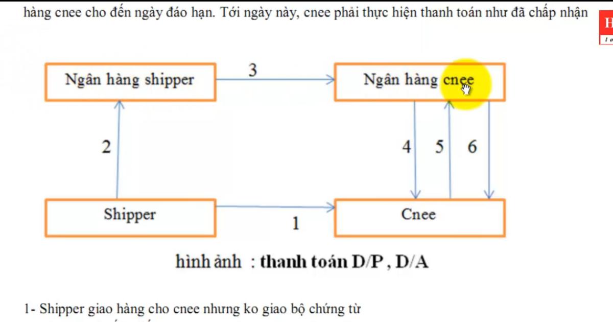 Hoạt động thanh toán nhờ thu trong xuất nhập khẩu & Logistics