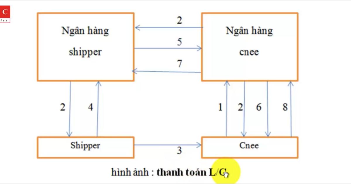 Cùng tìm hiểu về quá trình thanh toán L/C trong xuất nhập khẩu