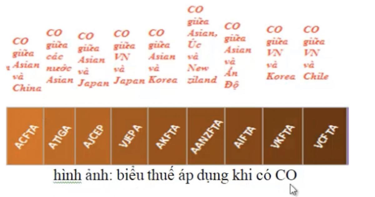 Khái quát về chứng từ C/O và các mẫu giấy chứng nhận xuất xứ liên quan