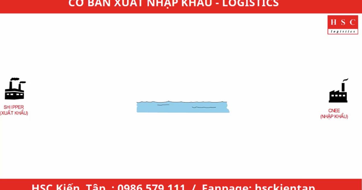 Quy trình Xuất Nhập Khẩu Logistics cho người mới bắt đầu