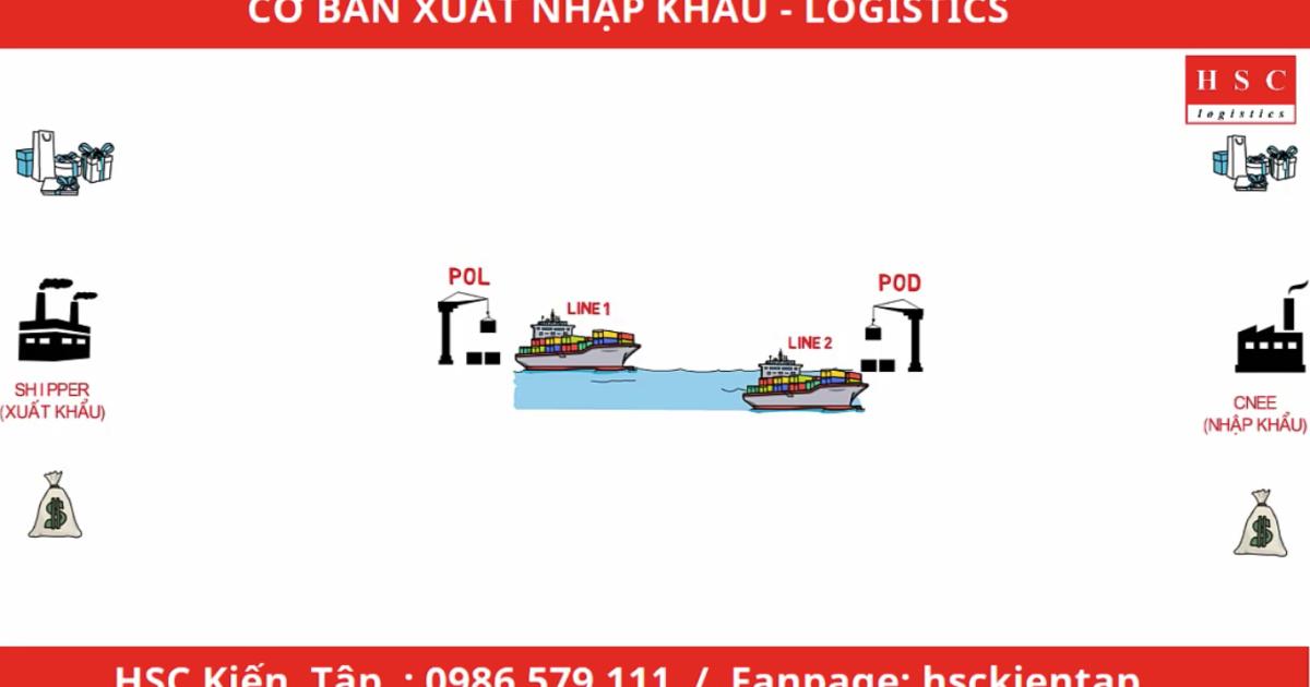 Quy trình Xuất Nhập Khẩu Logistics cho người mới bắt đầu