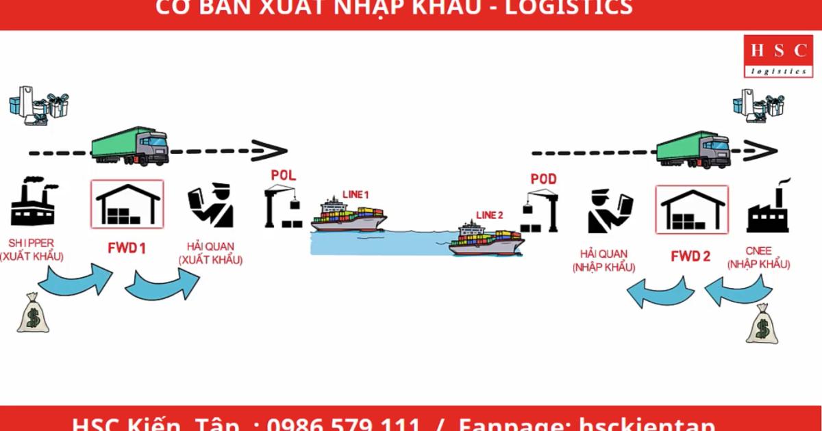Quy trình Xuất Nhập Khẩu Logistics cho người mới bắt đầu