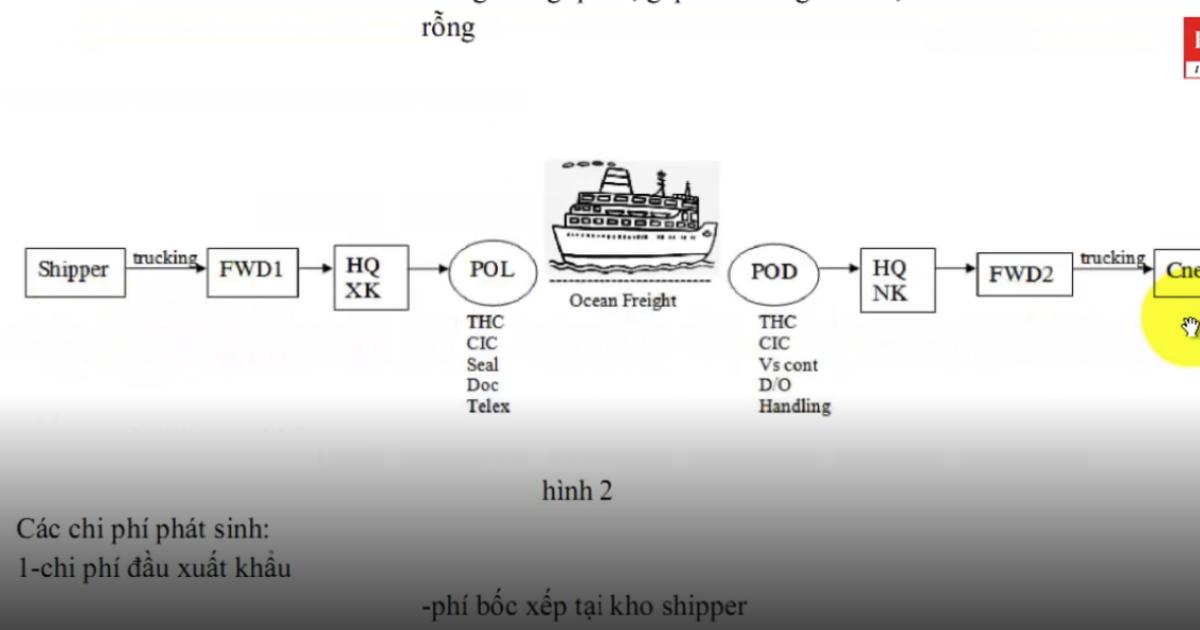 Quy trình lô hàng Container trong xuất nhập khẩu