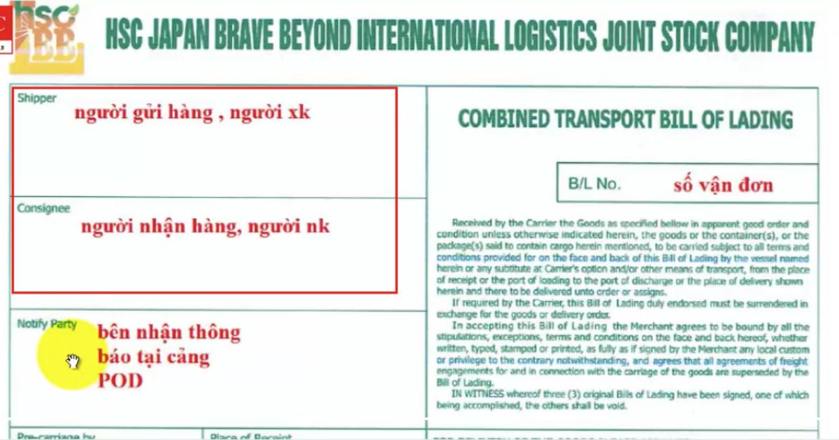 Tìm hiểu về Bill và cách phân loại Bill trong Logistics