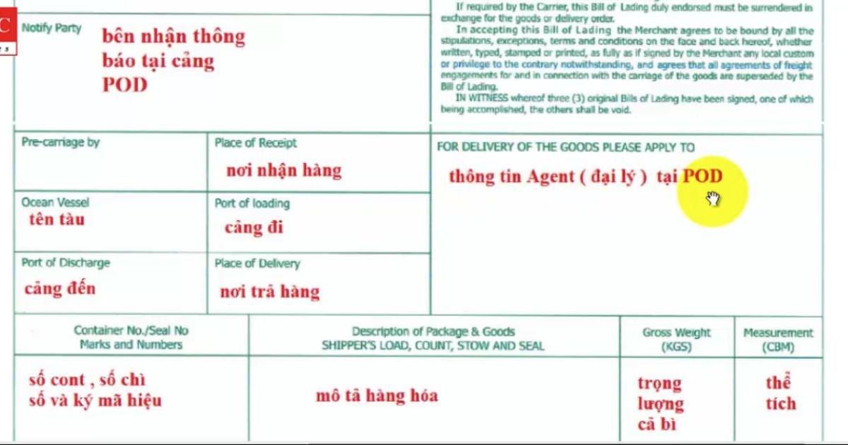 Tìm hiểu về Bill và cách phân loại Bill trong Logistics