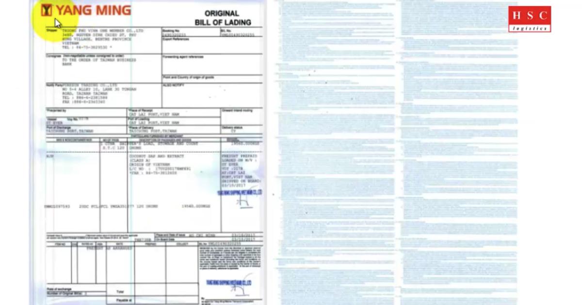 Cách phân loại Bill gốc trong xuất nhập khẩu và những lưu ý khi xử lý vận đơn