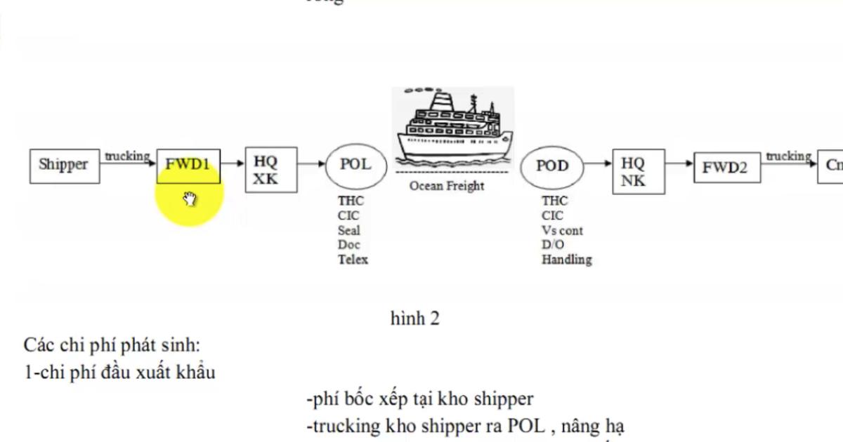 Cách phân loại Bill gốc trong xuất nhập khẩu và những lưu ý khi xử lý vận đơn