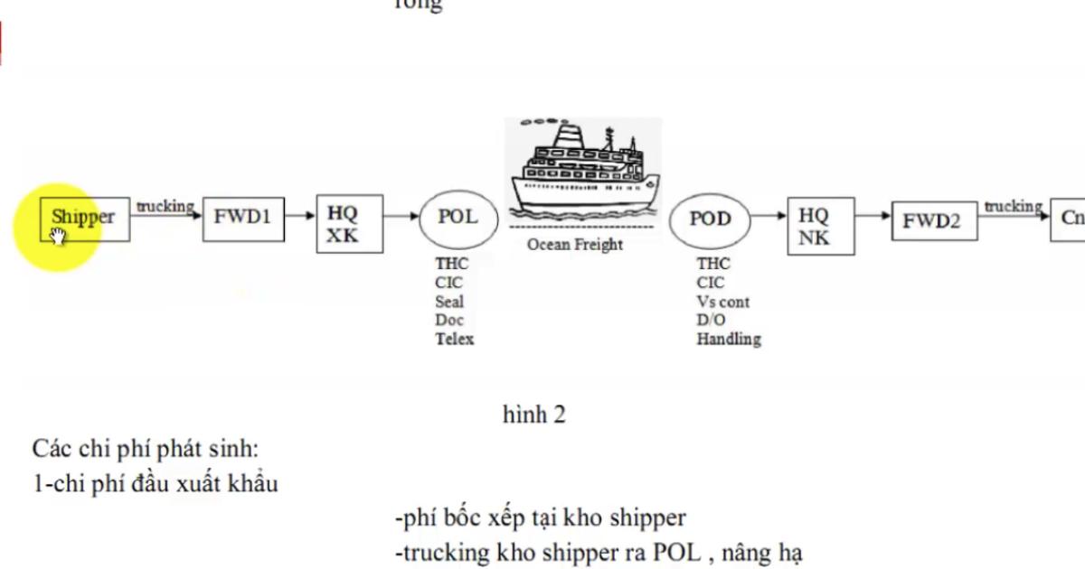 Cách phân loại Bill gốc trong xuất nhập khẩu và những lưu ý khi xử lý vận đơn