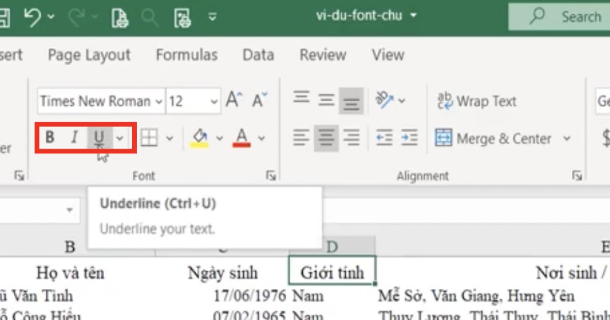 Kỹ thuật định dạng font chữ cơ bản và nâng cao trong Excel