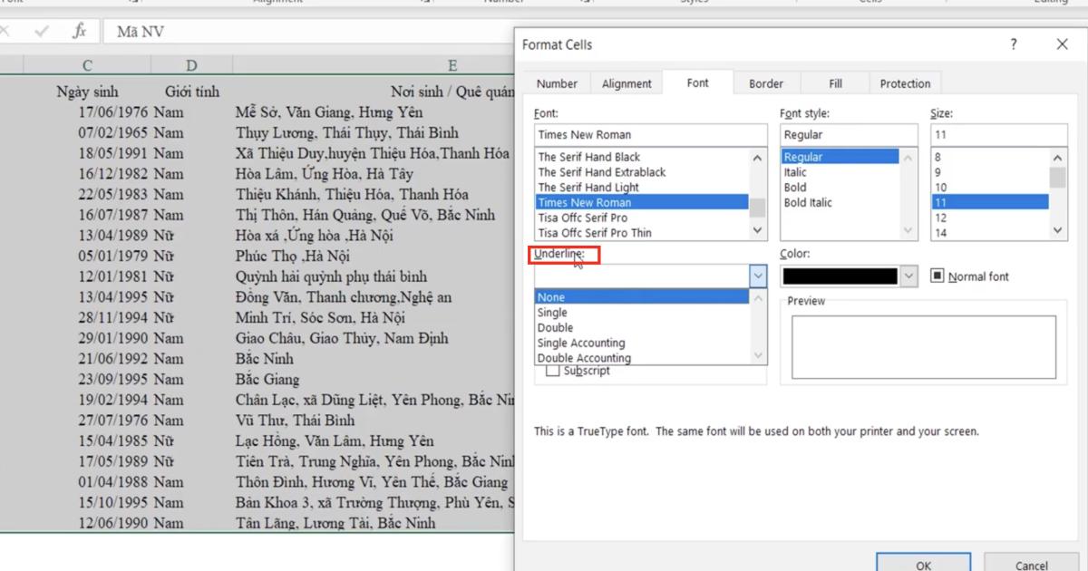 Kỹ thuật định dạng font chữ cơ bản và nâng cao trong Excel