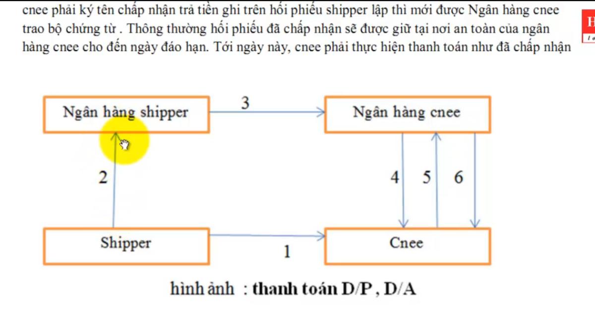 Hoạt động thanh toán nhờ thu trong xuất nhập khẩu & Logistics