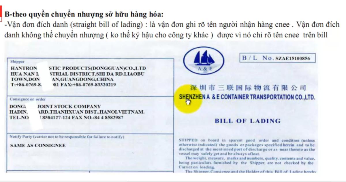 Phân loại vận đơn đích danh và vận đơn theo lệnh trong xuất nhập khẩu