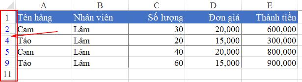 Lỗi không bỏ ẩn dòng do bộ lọc Excel