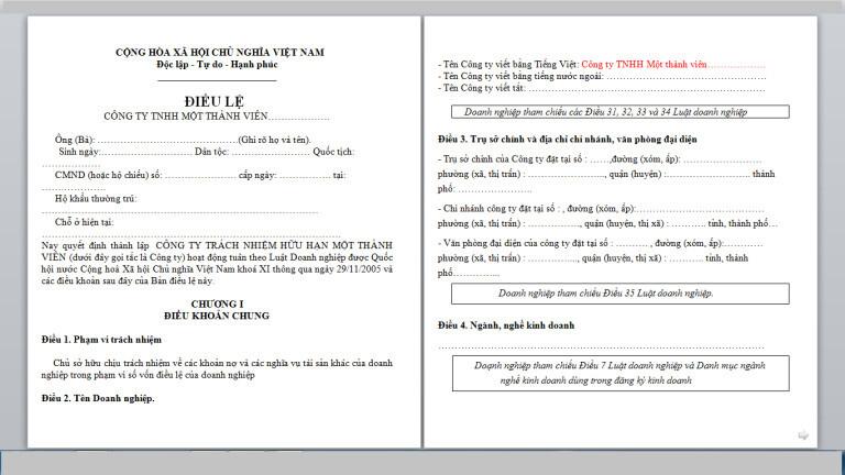 Thủ tục và hồ sơ thành lập công ty TNHH Một thành viên