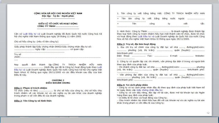 Thủ tục và hồ sơ thành lập công ty TNHH Một thành viên