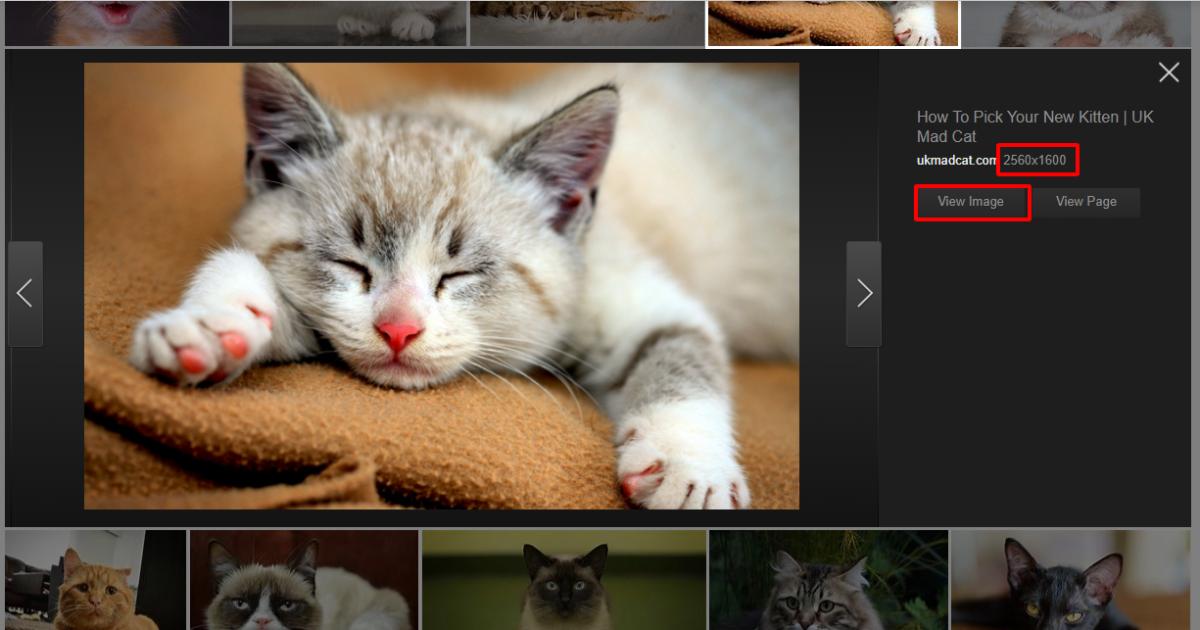 Mẹo xử lý hình ảnh khi thiết kế slide trên Powerpoint
