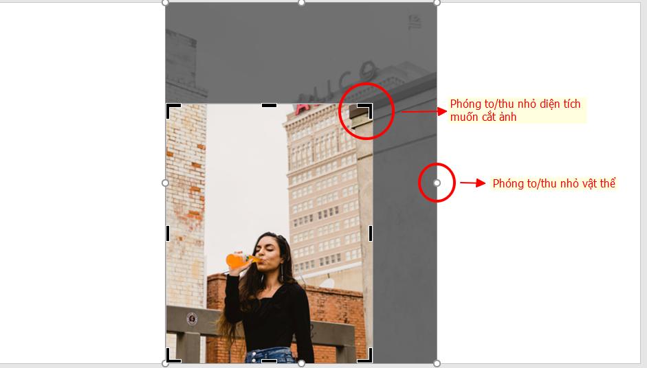 Mẹo xử lý hình ảnh khi thiết kế slide trên Powerpoint