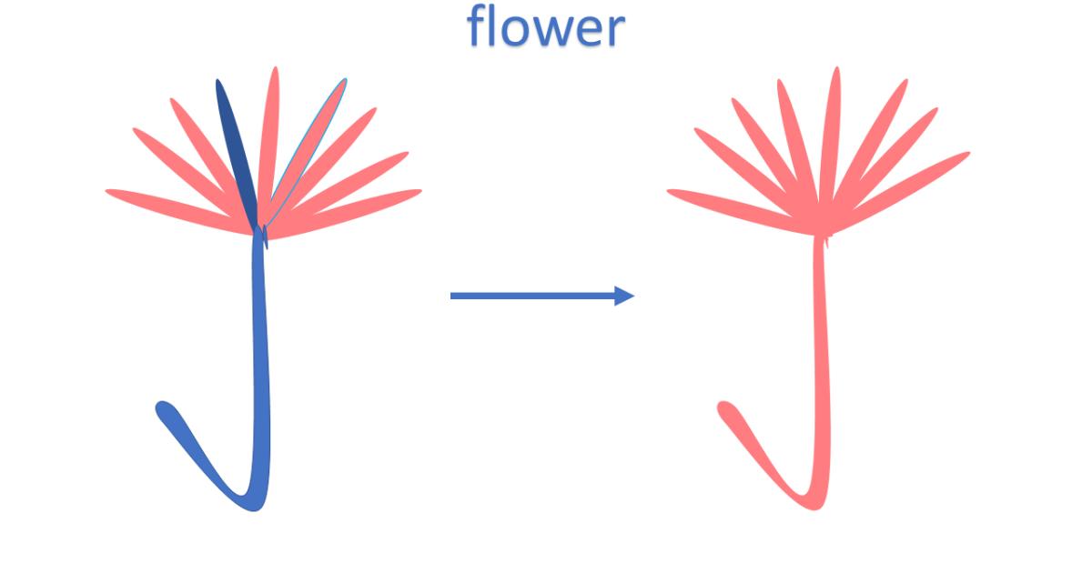 Cách gộp hình khối với chức năng Merge Shapes trong PowerPoint