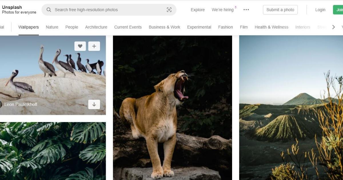 6 nguồn ảnh đẹp và miễn phí cho thiết kế slide trong Powerpoint
