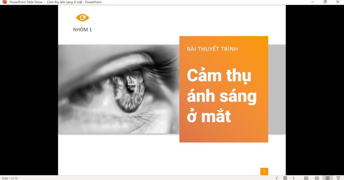 Hướng dẫn 6 cách hiển thị slide trong PowerPoint với menu View