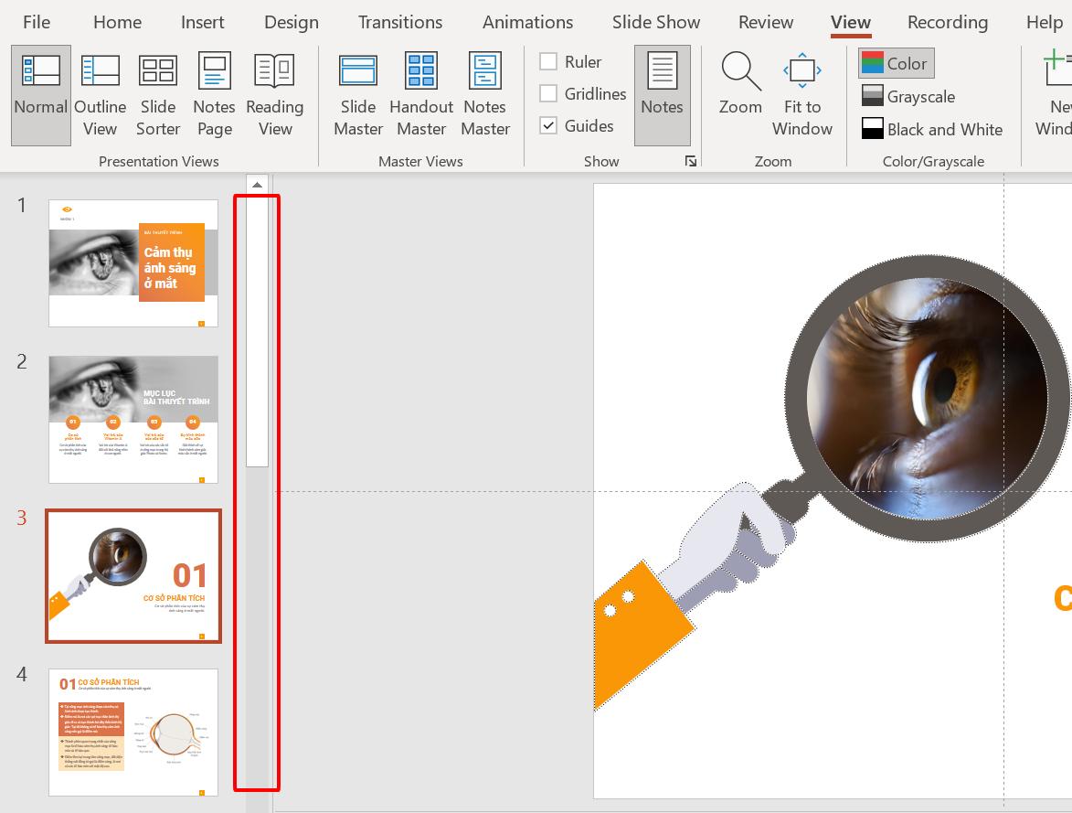 Hướng dẫn 6 cách hiển thị slide trong PowerPoint với menu View