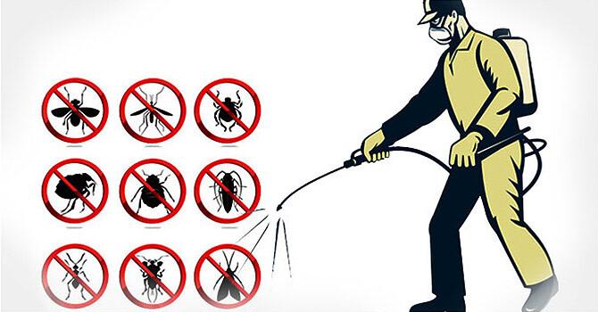 Hun trùng là gì? Hướng dẫn quy trình để hun trùng hàng hóa xuất khẩu