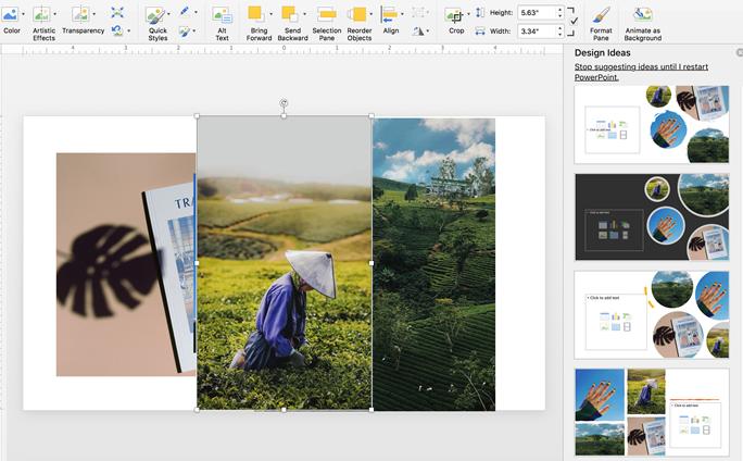 Cách làm proposal bằng Powerpoint cực ấn tượng