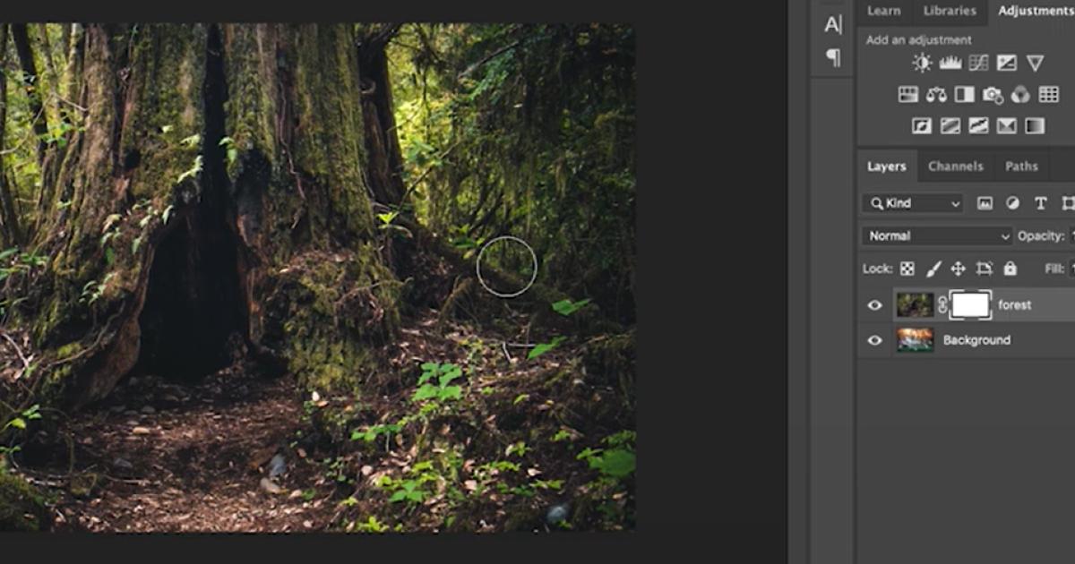 Xóa vật thể trong Photoshop với Brush Tool, Layer Mask & công cụ khác