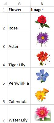 Chèn ảnh vào Excel