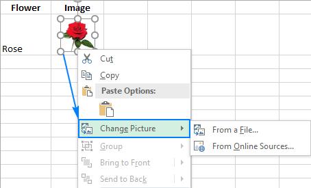 thay thế ảnh trong Excel