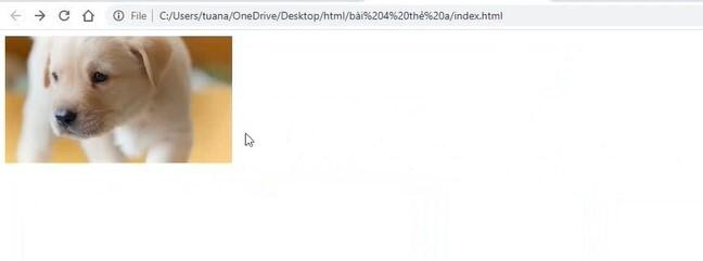 Hướng dẫn chi tiết cách dùng thẻ a trong HTML tạo siêu liên kết