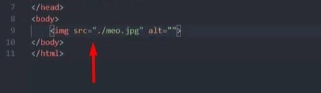 Hướng dẫn cách dùng thẻ IMG hiển thị hình ảnh trong HTML