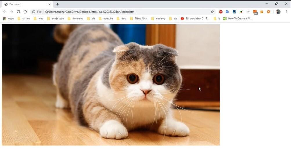 Hướng dẫn cách dùng thẻ IMG hiển thị hình ảnh trong HTML