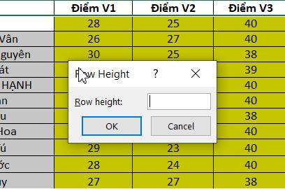 Hướng dẫn 3 cách giãn dòng trong Excel cực nhanh có thể bạn chưa biết
