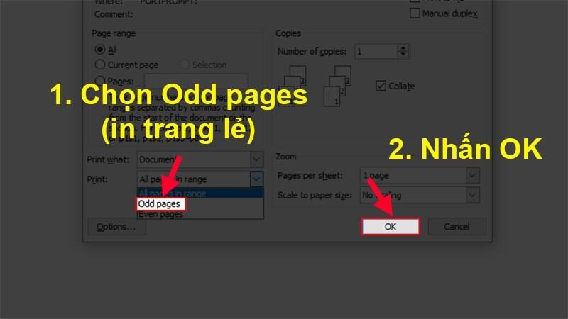 Cách in hai mặt trong Word 2003, 2007, 2010, 2016, 2019, 2021, 365