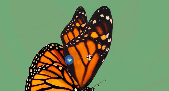 Hiệu ứng Powerpoint dạng di chuyển: Custom Path và các Path khác