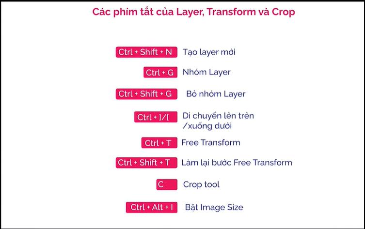 Layer, Transform & các công cụ thay đổi kích thước ảnh trong Photoshop