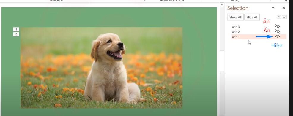 Cách dùng Selection Pane quản lý đối tượng trong Powerpoint